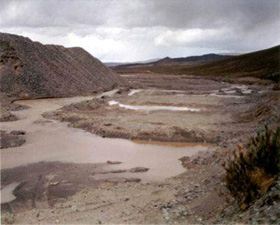 Curso online de Evaluación del Impacto Ambiental